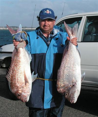 North Mole Snapper caught  at the beginning of Oct 06. Six kilos and eight kilos.